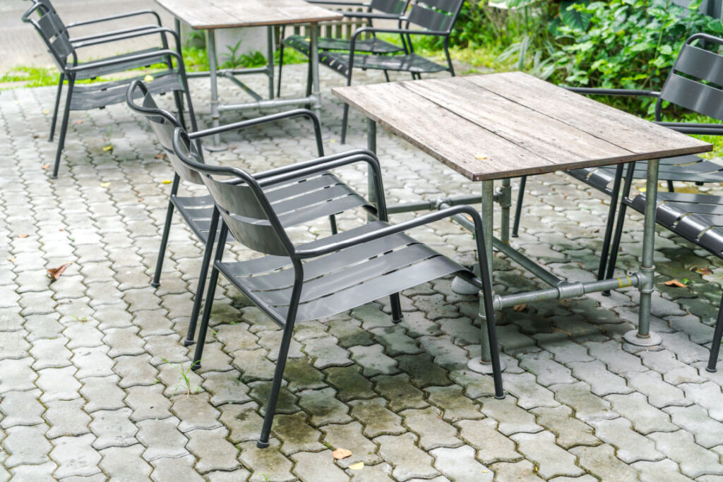algae on patio pavers