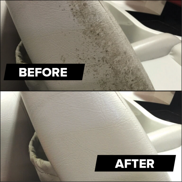 mold and mildew stain remover
