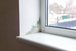 mold around window seal