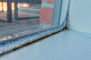 winter mold formation